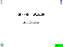 药物化学人卫版-第八章-抗生素课件