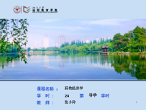 药物经济学第一章课件