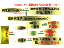 药物基因组学与临床用药课件