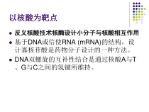 药物设计学课件-以核酸为靶点的药物设计