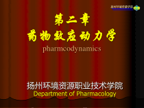 药物效应动力学课件