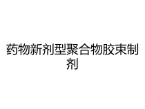 药物新剂型聚合物胶束制剂课件