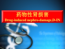 药物性肾损害学习课件