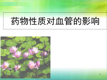 药物性质对血管的影响学习课件