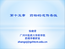 药物遗传毒性课件