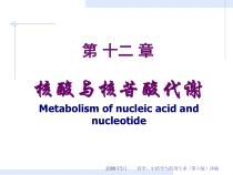 药学第12章核苷酸课件