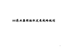 药业集团组织发展战略规划课件