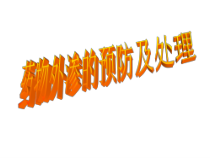 药液外渗的处理措施-课件