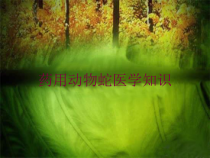 药用动物蛇医学知识培训课件
