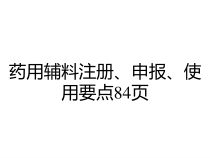 药用辅料注册申报使用要点84页课件