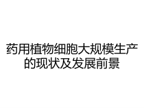 药用植物细胞大规模生产的现状及发展前景课件