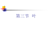 药用植物学5叶课件