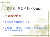药用植物学第5章藻类植物课件