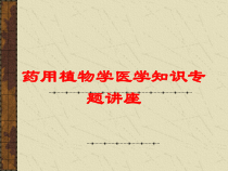 药用植物学医学知识专题讲座培训课件