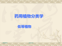 药用植物学与生药学低等植物简介课件