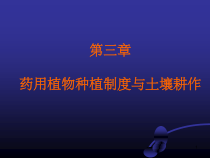 药用植物种植制度与土壤耕作课件