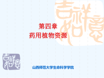 药用植物资源课件