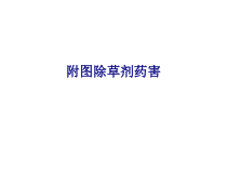 医学附图除草剂药害专题培训课件