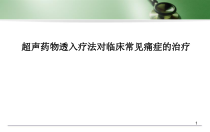医学课件-超声药物透入疗法对临床常见痛症的治疗课件