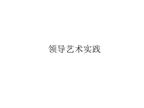 领导艺术实践