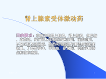 医学肾上腺素受体激动药课件