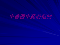 医学中兽医中药的炮制培训课件