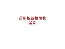 医学药用板蓝根性状鉴别培训课件