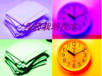 医学乌药栽培技术培训课件