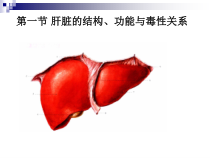 医学课件药物对肝脏的毒性作用