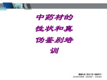 医学中药材的性状和真伪鉴别培训培训课件