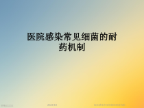 医院感染常见细菌的耐药机制课件