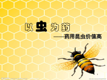 以虫为药教学课件