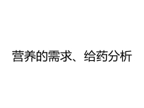 营养的需求给药分析课件