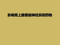 影响肾上腺素能神经系统药物课件