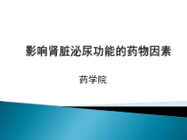 影响肾脏泌尿功能的药物因素-课件