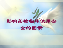 影响药物临床使用安全的因素培训课件