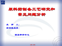 原料药制备工艺研究和常见问题分析-课件-