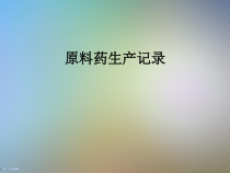 原料药生产记录课件