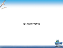 章化学治疗药物实用版课件