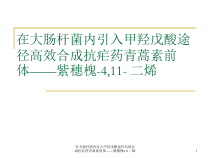 在大肠杆菌内引入甲羟戊酸途径高效合成抗疟药青蒿素前体紫穗槐411二烯课件