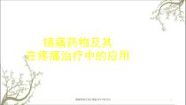 镇痛药物及其在疼痛治疗中的应用课件