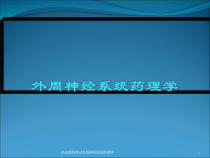 执业医师考试外周神经系统药理学课件
