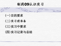 制药08认识实习课件