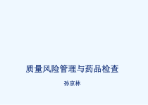 质量风险管理与药品检查_课件