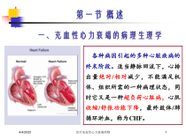 治疗充血性心力衰竭药物培训课件