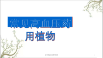 治疗高血压的药用植物课件