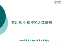 中枢神经之镇痛药课件