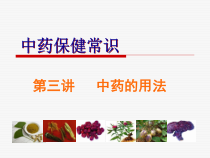 中药保健第三讲课件