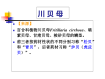 中药贝母和天麻真伪品的鉴别课件