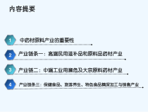 中药材产业发展思路课件